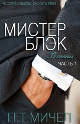 Мистер Блэк (ЛП)