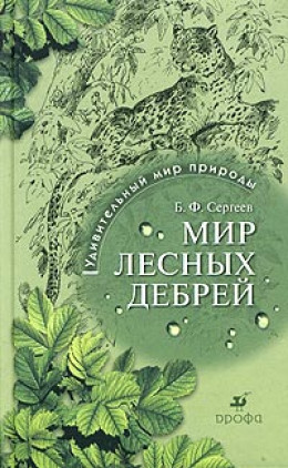 Мир лесных дебрей