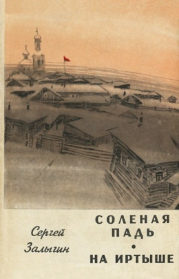 Соленая Падь. На Иртыше