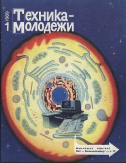 Мотоциклы. Историческая серия ТМ. 1989