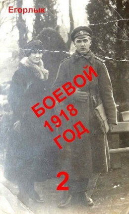 Боевой 1918 год 2