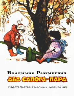 Два сапога — пара