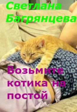 Возьмите котика на постой