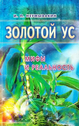 Золотой ус: мифы и реальность