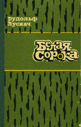 Белая сорока