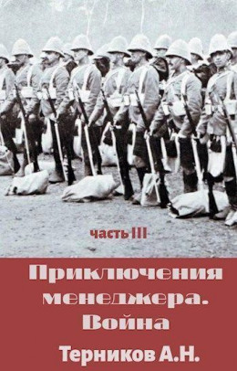 Приключения менеджера. Война (СИ)