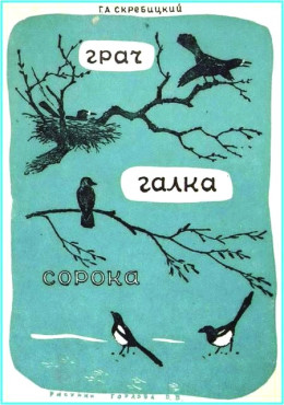 Грач. Галка. Сорока