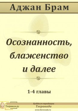 Осознанность, блаженство и далее