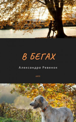 В бегах (СИ)