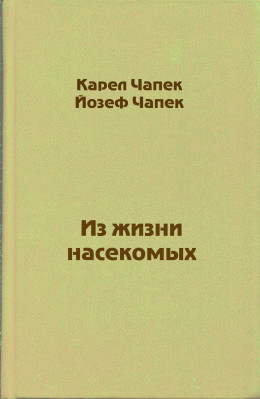 Из жизни насекомых 