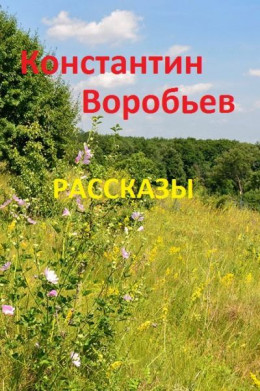 Рассказы