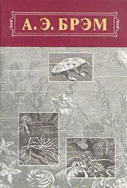 Жизнь животных, Том III, Пресмыкающиеся. Земноводные. Рыбы