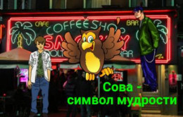 Сова - символ мудрости (СИ)